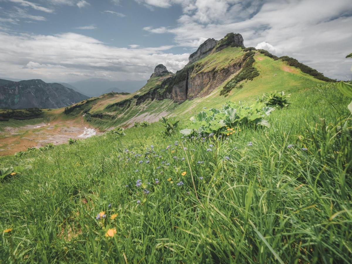 Alpenglueck Tauplitz Apartman Kültér fotó